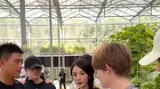 欧豪杨幂齐聚菜园子，杨幂打扮很漂亮，欧豪秒变“农民范儿”