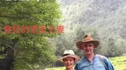 50岁，别人在求安稳，她却选择跟生活20年的外国丈夫离婚