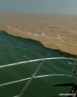 搞笑gif: 这应该就是我们常说的井水不犯河水吧 - 360娱乐,你开心就好