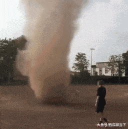 搞笑GIF：真是丢了狗界的脸，我不认识你，今晚别回家了 - 360娱乐，你开心就好