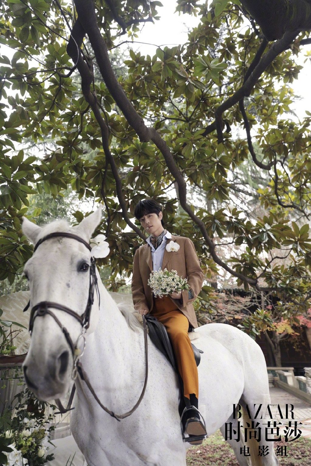 陈漫掌镜肖战白马骑士造型写真,顶流诠释童话故事