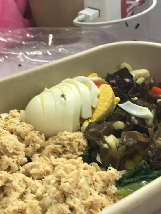 杨超越盒饭进蚊子笑称让给它 ,看看少女们伙食如何,一起看看吧