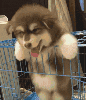 装逼失败的下场就是被揍 - 360娱乐,你开心就好