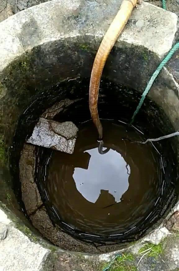 男子抽干老水井捕获百年老鲤鱼却被村里的老人大骂