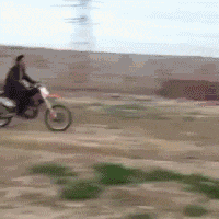 搞笑GIF: 孩子，一看你就知道捡来的！ - 360娱乐，你开心就好
