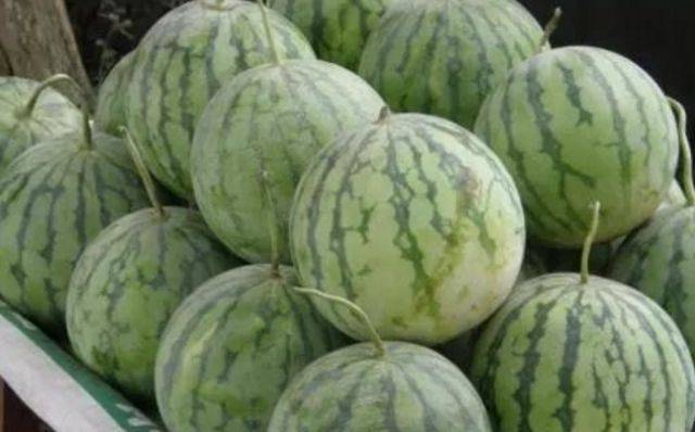 女子在路边买了一个绿心西瓜,回家切开一瞧,全家傻住.