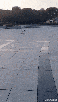 搞笑GIF：牙刷丢了，只好拿鞋刷来代替一下 - 360娱乐，你开心就好