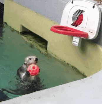 大哥, 你洗个头, 玩得太刺激了吧 - 360娱乐,你开心就好