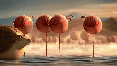 看到发福的鳄鱼时,笑点满满额,你们是因为这一球而定的情吗?