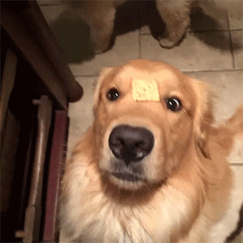 搞笑gif: 这开个公交, 怎么有种开游轮的感觉 - 360娱乐,你开心就好