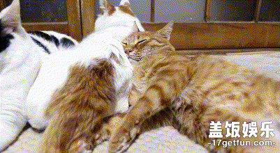 401_220gif 动态图 动图