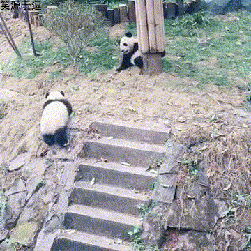 笑话趣图: 手脚一起洗,真的好节约时间啊 - 360娱乐,你开心就好