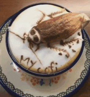 爆笑gif我感觉我的智商受到前所未有侮辱