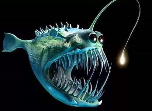 还是一种胃口非常大的生物,另外,它的头顶还有着一个会发光的"小灯笼"