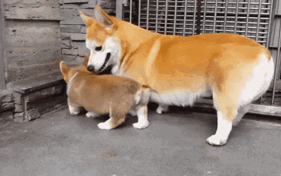 少年静下心来,你太激动了! - 360娱乐,你开心就好