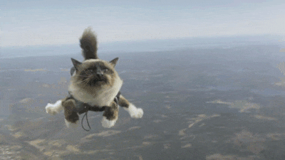 https://hao6.qhimg.com/t0149ce39aa393612a0.gif