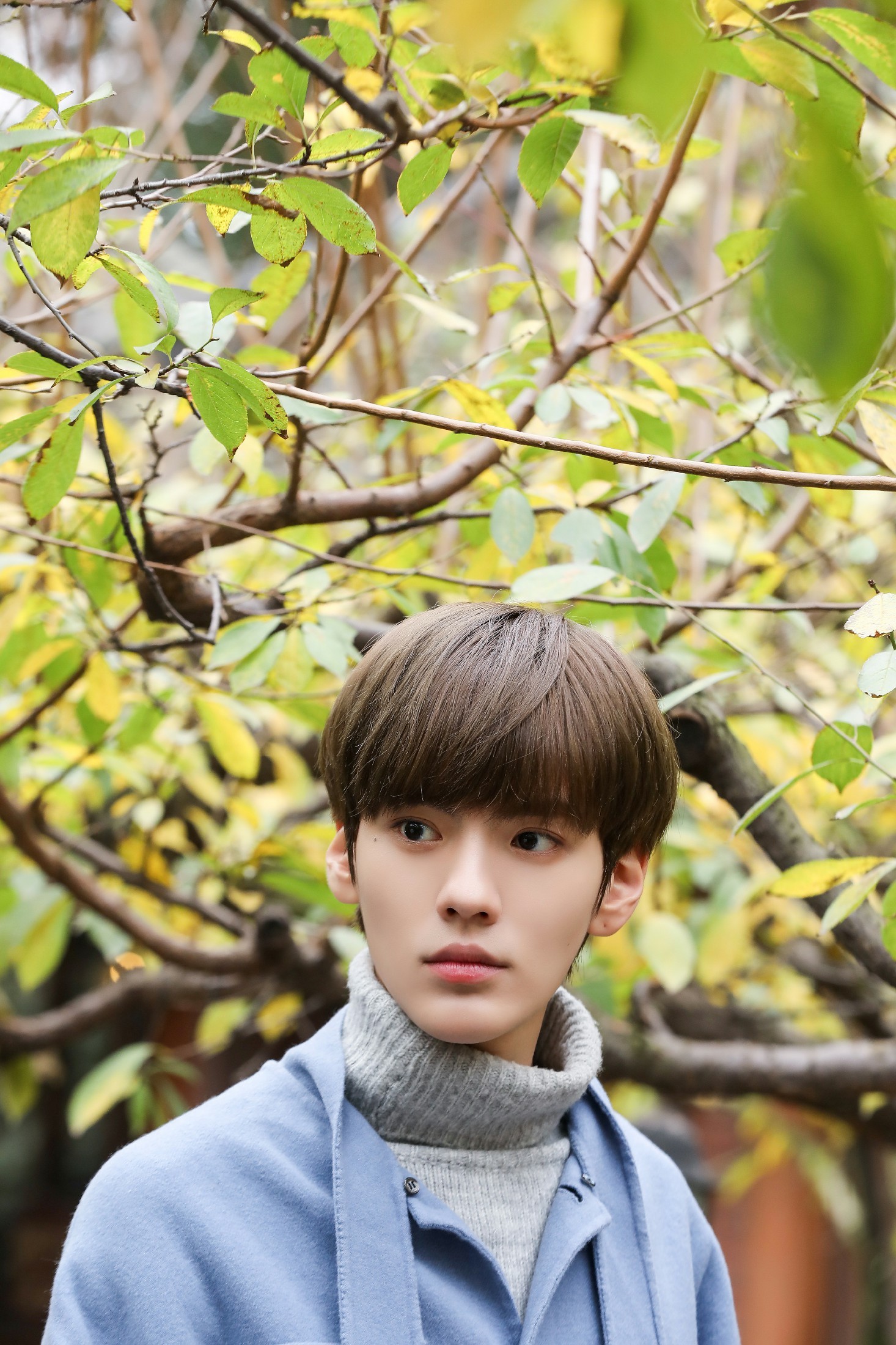 淑女飘飘拳首播毕雯珺丁泽仁演绎太极传人