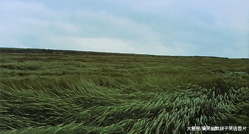 爆笑gif图传说中的呼伦贝尔大草原