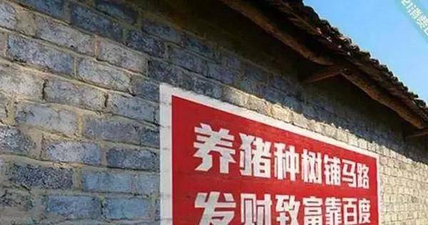 最搞笑的农村标语要是能坚持看完我服你