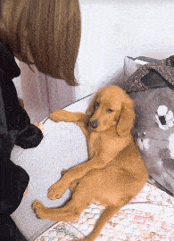 搞笑gif动图:大哥骑车慢点,装了人还不下车 - 360娱乐,你开心就好