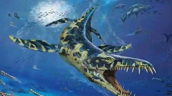 克柔龙克柔龙是是世界上最大的上龙类之一,生存于白垩纪早期的阿普第