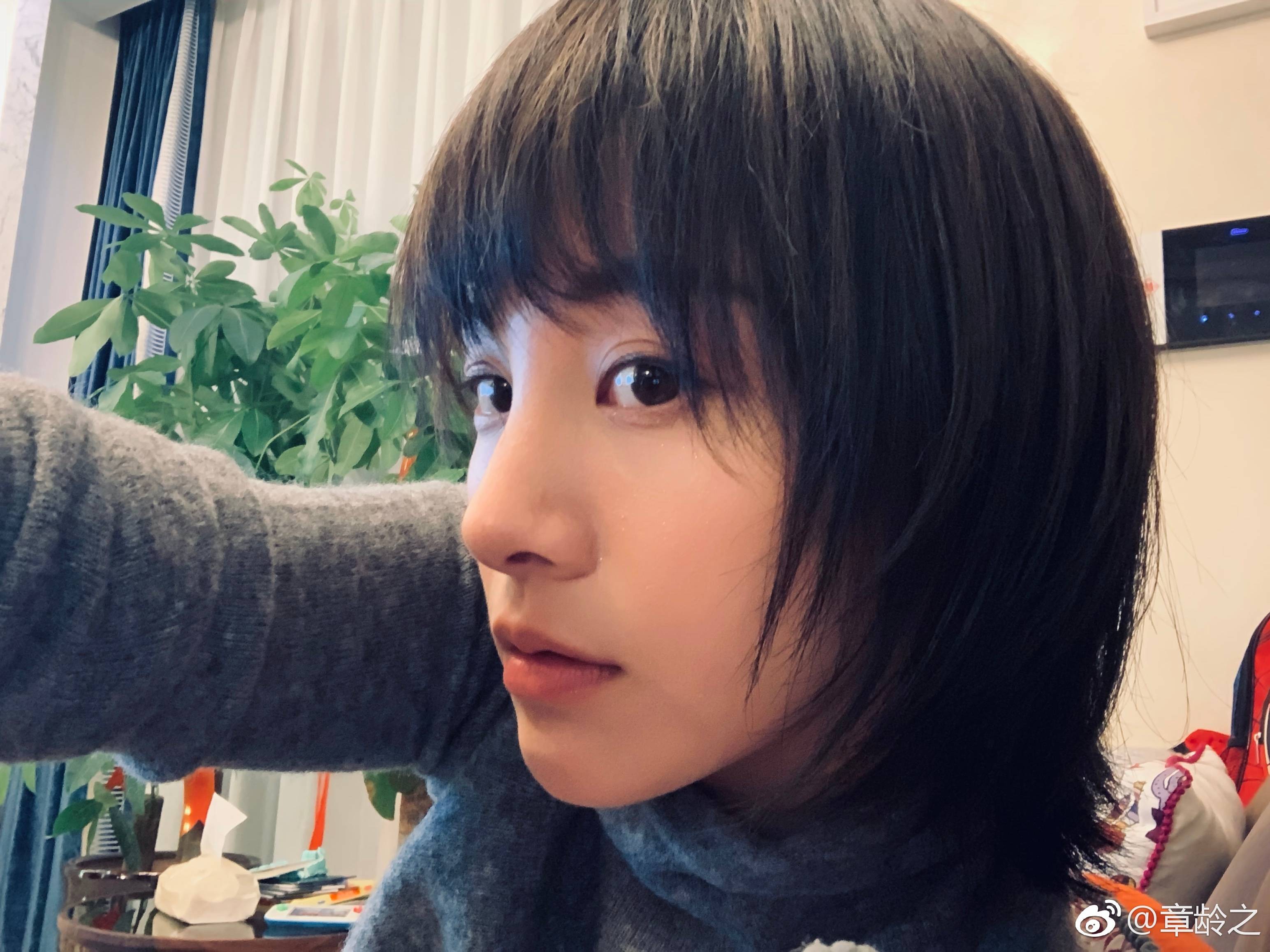 章龄之微博截图