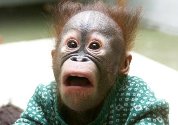 搞笑段子—和暗恋的男生一同放学出校门