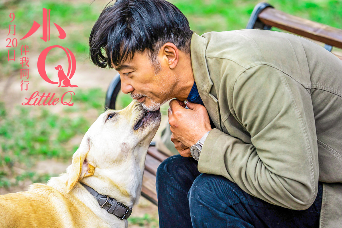 电影小q改档9月20日等待爸爸任达华归来