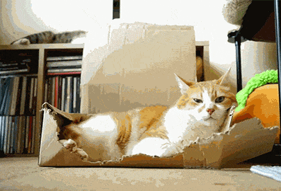 爆笑gif: 种瓜得瓜种豆得豆,种个啤酒得酒 - 360娱乐,你开心就好