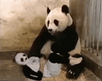 搞笑gif: 我以为我猜到了结尾 - 360娱乐,你开心就好