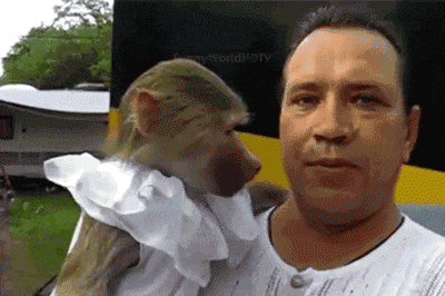 gif:你去你的碗里吃,没事跑我这里蹭什么饭啊 - 360娱乐,你开心就好