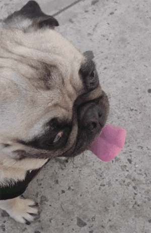 300_461竖版 竖屏gif 动态图 动图