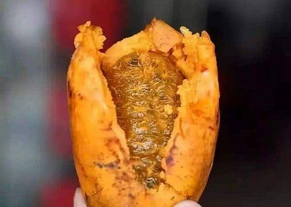 水果界最难吃的5大水果能吃的下的人请允许叫你一声英雄