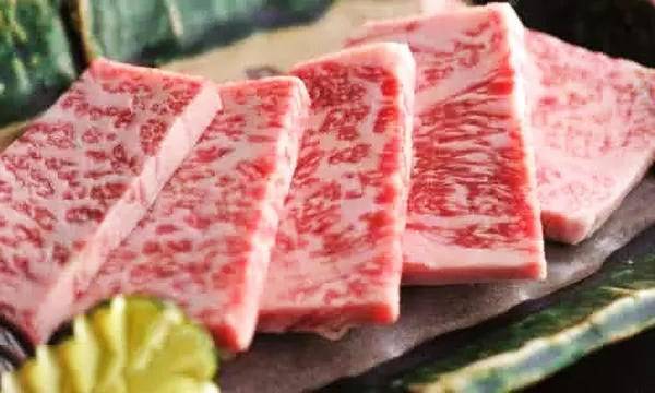 牛世界精猪　 史记生物技术有限公司