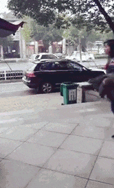 搞笑GIF: 孩子，一看你就知道捡来的！ - 360娱乐，你开心就好