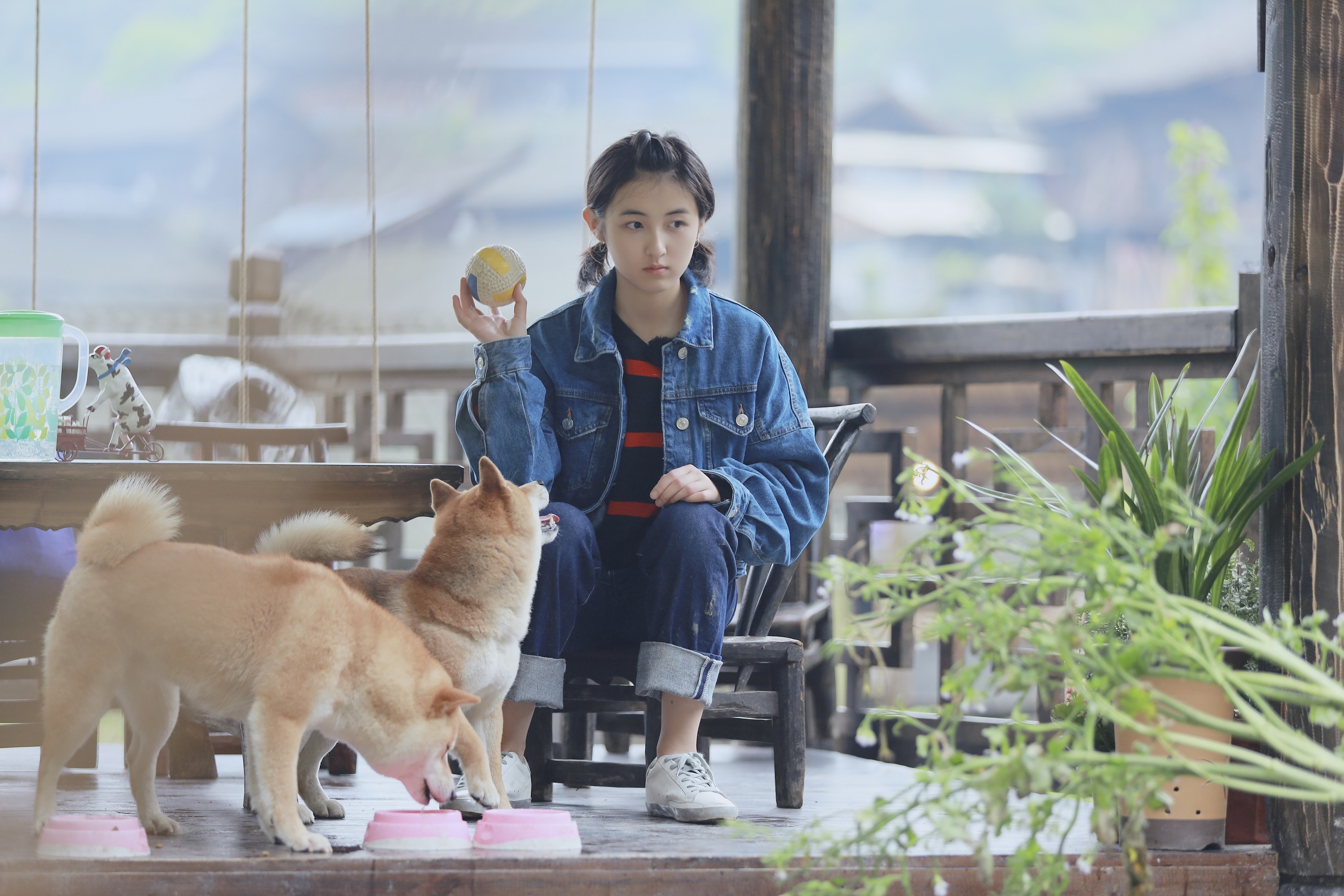 《向往的生活》第三季即将过半,迎来送往间,张子枫也在蘑菇屋收获了