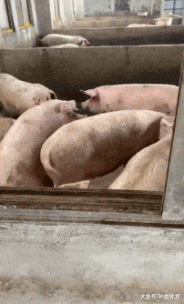 - 360娱乐,你开心就好