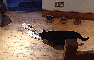 你这是剃头发还是要命啊! - 360娱乐,你开心就好