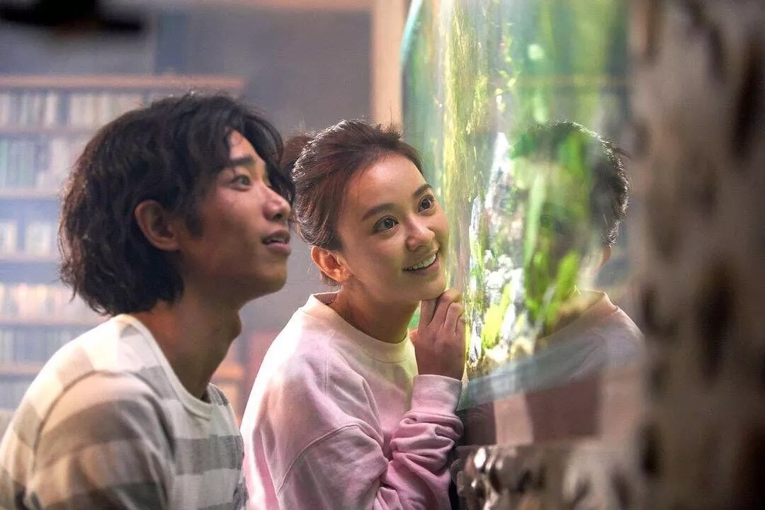 陈意涵刘以豪强势催泪比悲伤更悲伤的故事掀观影高潮