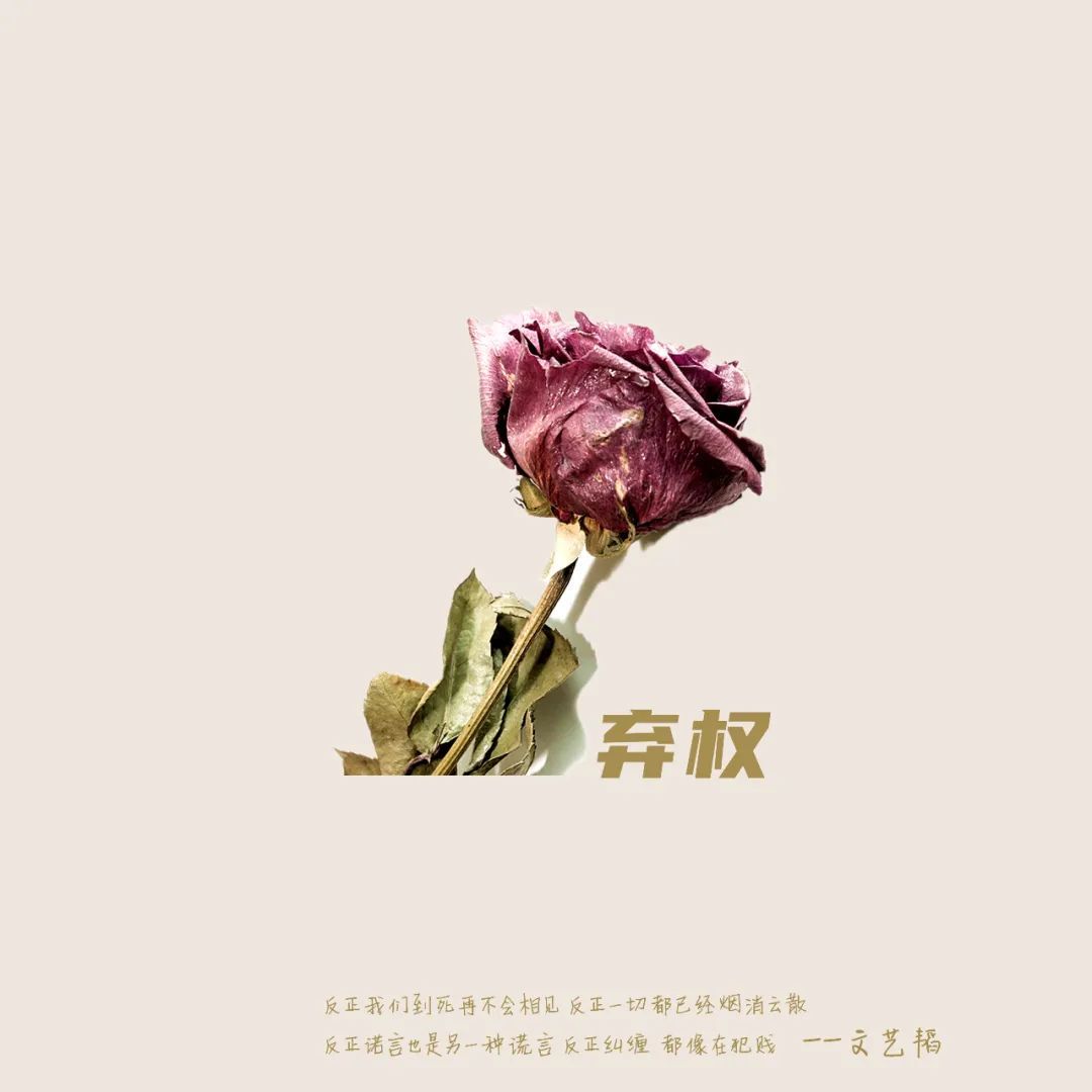 打造极致观赛体验