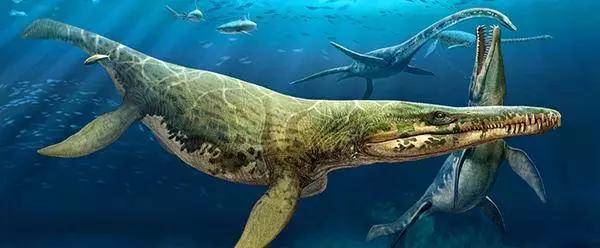 克柔龙是是世界上最大的上龙类之一,生存于白垩纪早期的阿普第阶