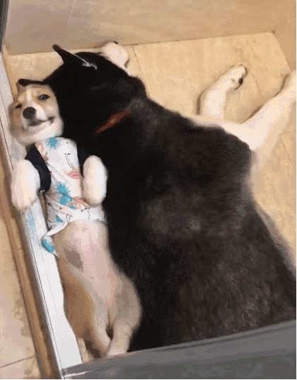 不要看不起自行车 - 360娱乐,你开心就好