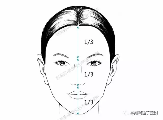 鼻子,嘴,下巴,都位於面部中軸線上,眼睛位於中軸線兩邊.