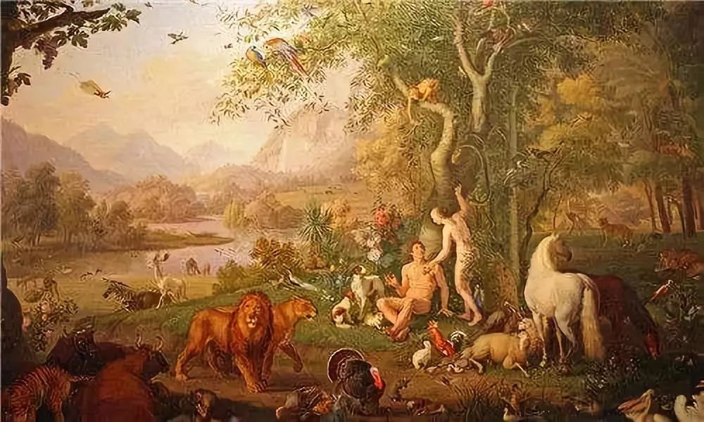 灿星专栏 | 从文学与电影中诞生的超级模式