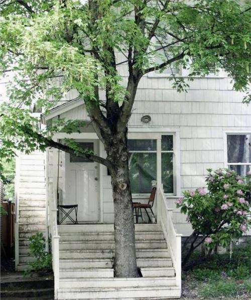 将楼梯空出一小块,既保护了树木,又使整个小房子处于大树之下,温馨而