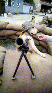 搞笑gif:这位大师,造诣颇深啊 - 360娱乐,你开心就好