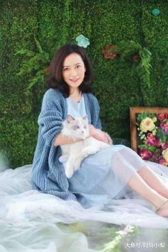 窦文涛为什么至今未娶俞飞鸿 - 360娱乐,你开心就好