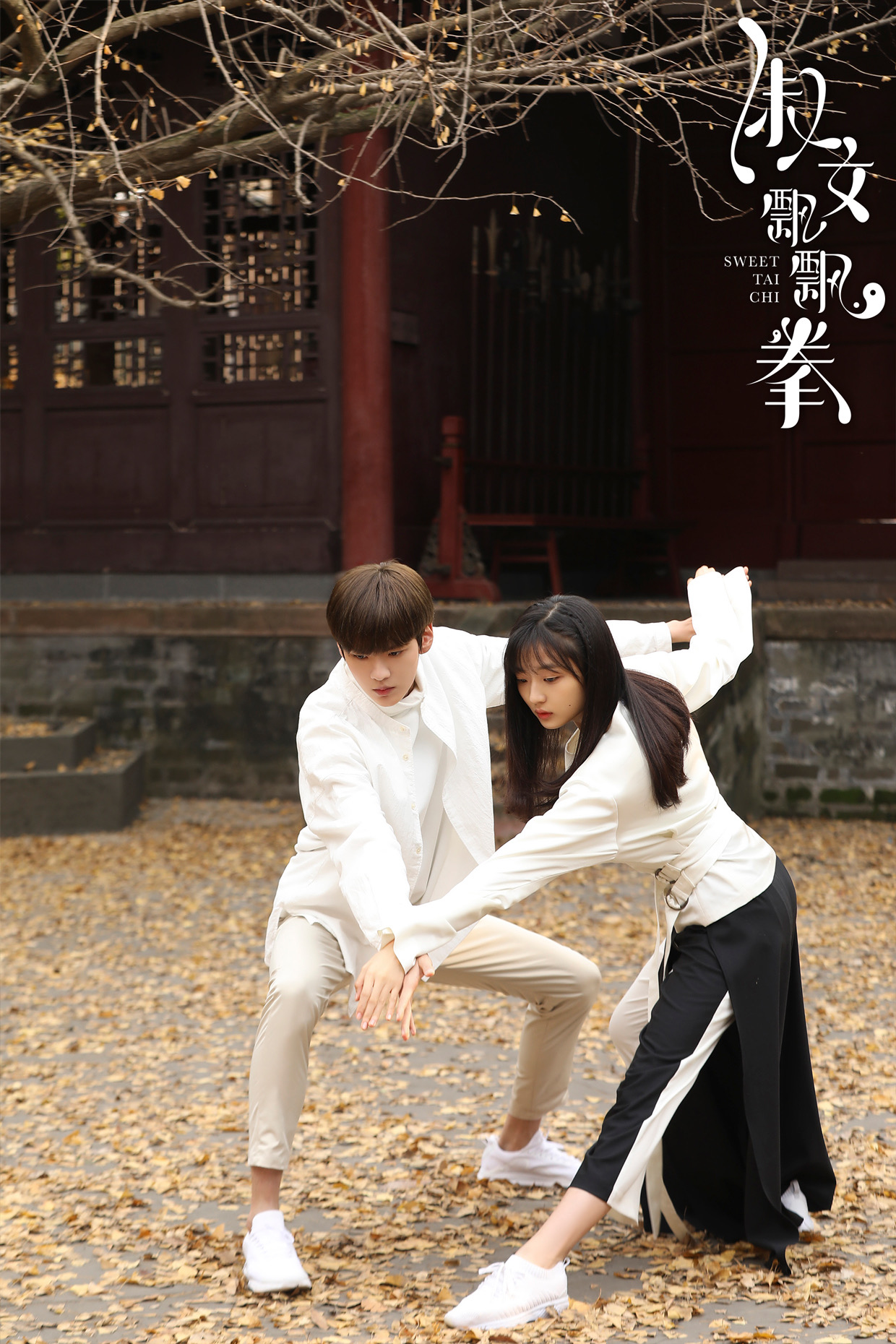 淑女飘飘拳今日会员收官毕雯珺孙千花式撒糖获封暖冬甜剧