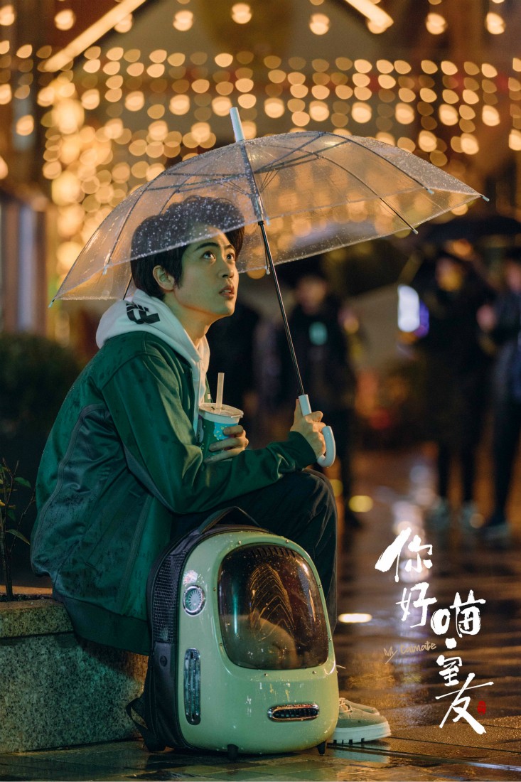 《你好喵室友》郑云龙马伯骞杨天翔蔡维泽李昊与猫同居 - 360娱乐,你开心就好