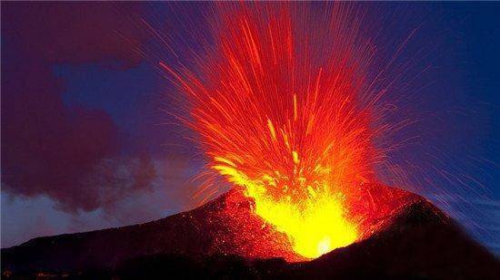 马树奇趣秀火山爆发了图片
